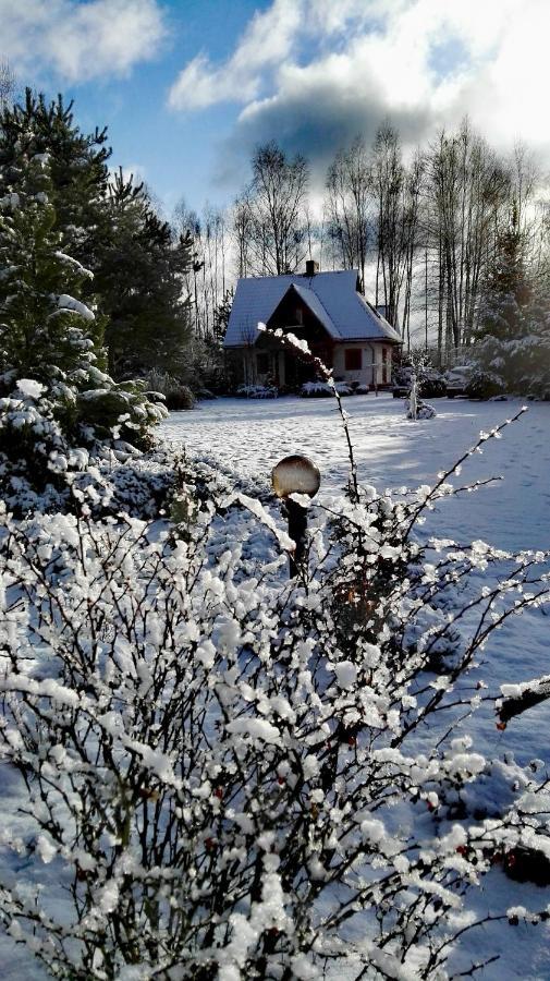 Siedlisko Gruszki Puszcza Bialowieska Narewka エクステリア 写真