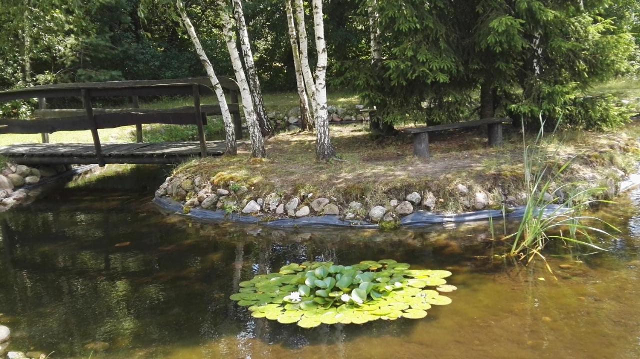 Siedlisko Gruszki Puszcza Bialowieska Narewka エクステリア 写真