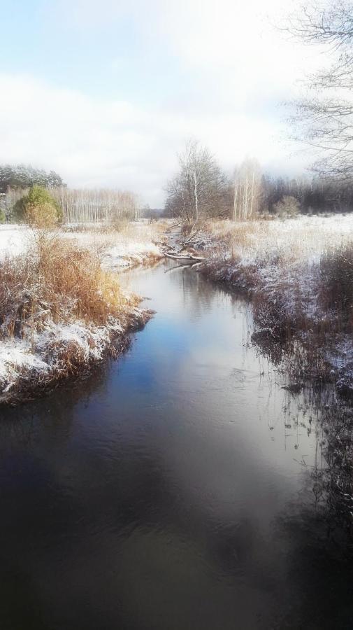 Siedlisko Gruszki Puszcza Bialowieska Narewka エクステリア 写真