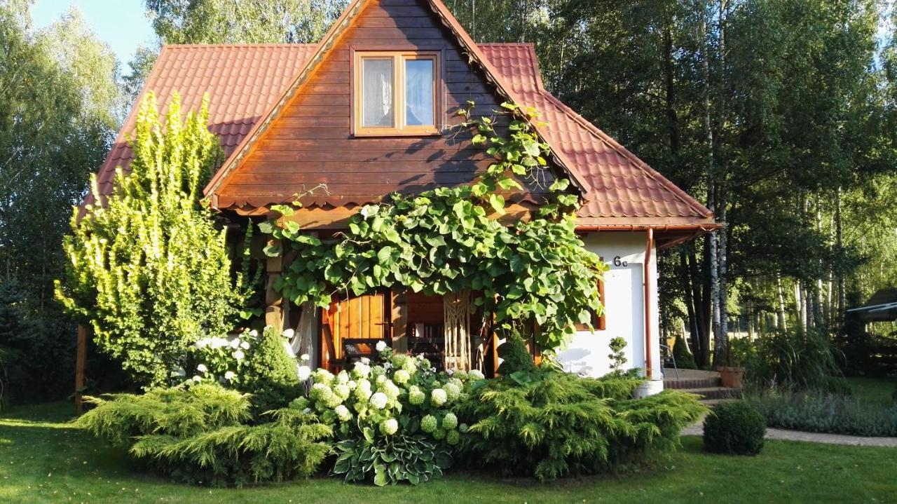 Siedlisko Gruszki Puszcza Bialowieska Narewka エクステリア 写真